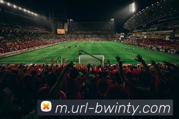 必赢亚洲体育APP 封面图